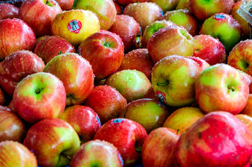 Apples for Sale