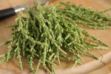 Samphire a coastal herb also known as sea beans glasswort pickleweed or Salicornia