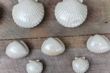 white clay scallop shells against a plain wooden background