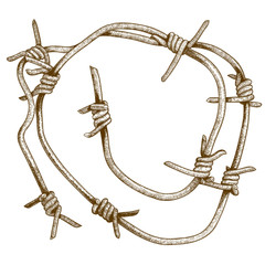 engraving illustration of barbed wire piece