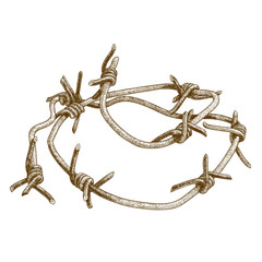 engraving illustration of barbed wire