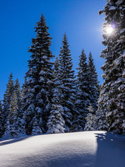 Lake Tahoe Winter Scene