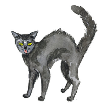 Halloween black cat Hand drawn watercolor pictures