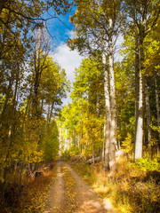 Lake Tahoe Fall
