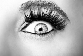 Beautiful insightful look monochrome woman's eye