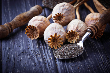 Poppy seeds and heads on wooden background