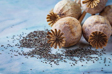 Poppy seeds and heads on wooden background