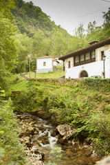 Fototapeta na wymiar Lakes in Covadonga, Asturias Spain