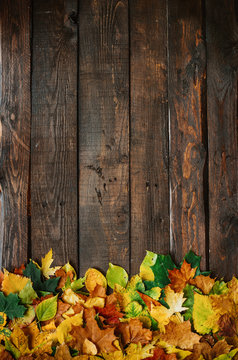 Autumn yellow red green leafs border frame on dark brown barn wood planks background. Vertical postcard template. Empty space for copy, text, lettering.