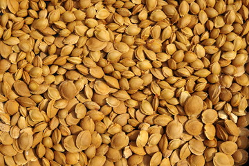 Apricot pits dried. The background of apricot pits.