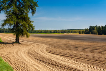 The plowed field. Furrow go to the horizon. The sowing of winter crops. Agricultural work. Sandy...