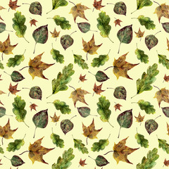 Watercolor autumn leaves seamless pattern. Hand painted oak, maple, aspen fall leaves ornament isolated on yellow background. Botanical illustration for design, print, fabric