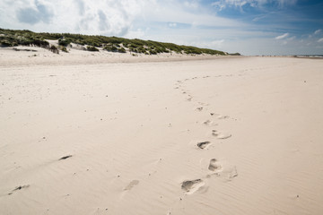 Spuren im Sand