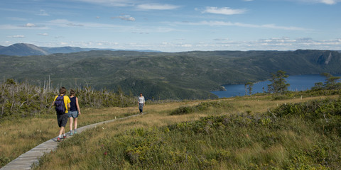 Fototapeta premium Newfoundland, Canada