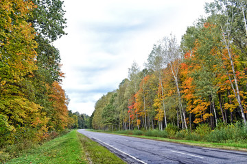 autumn landscape with bright colorful foliage. Indian summer.
