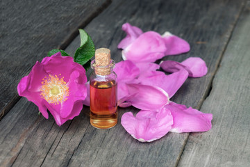 Obraz na płótnie Canvas Rose oil in bottle with cork. Healthy essence for skin care, massage and spa