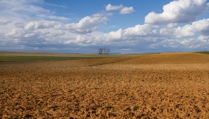 Paisaje de Campo con Terrenos arados y Cielo con Nubes