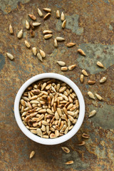 Geröstete Sonnenblumenkerne in kleiner Schüssel, fotografiert mit natürlichem Licht (Selektiver Fokus, Fokus auf die obersten Kernen in der Schüssel)