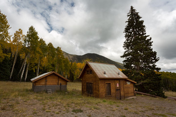 The Inner Basin Trail in Flagstaff Arizona.