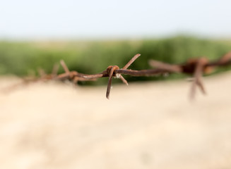 barbed wire fence in the nature