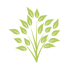 Green bush, floral element with branches and leaves isolated on white background. Vector illustration.