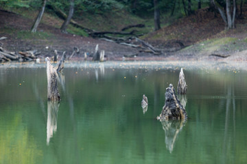 Obraz premium Churet Lake, Mazandaran, Iran