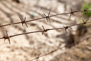 barbed wire fence in the nature