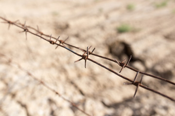 barbed wire fence in the nature