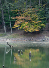 Obraz premium Churet Lake, Mazandaran, Iran