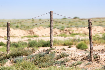 Fototapeta premium barbed wire fence in the nature
