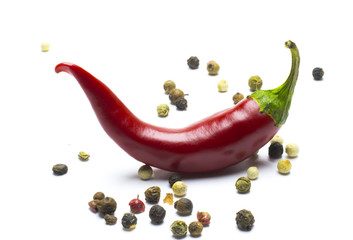 Fototapeta premium red chili or chilli cayenne pepper isolated on white background cutout