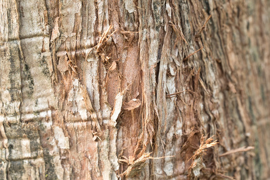剥げる Images – Browse 299 Stock Photos, Vectors, and Video | Adobe Stock