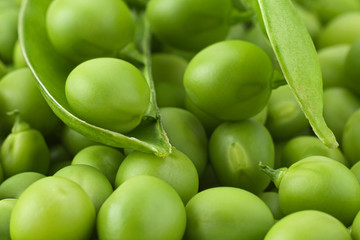 Young grean peas background