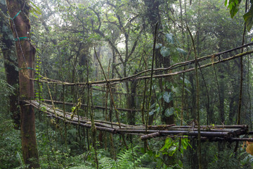 Naklejka premium This bamboo bridge might be dangerous