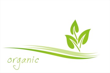 leaves, plant, icon , nature, Eco friendly business logo