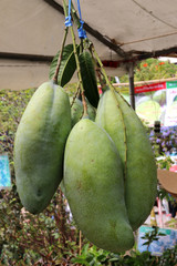 The Big Mango