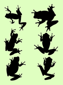 frogs silhouette