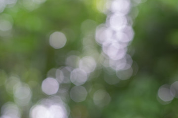 Obraz premium abstract nature blurred Bokeh background