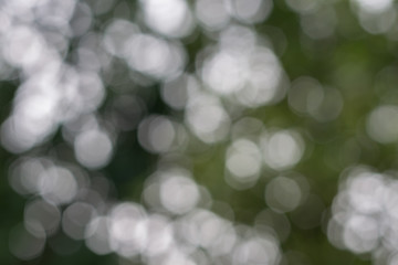 abstract blurred Bokeh background