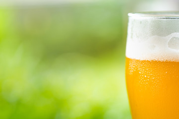 glass of cold craft beer with bright green bokeh background, selective focus