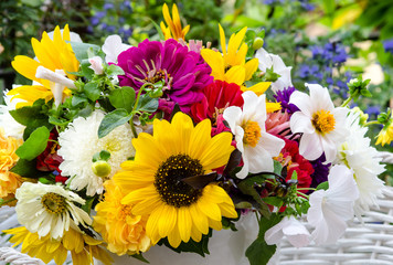 Glück, Freude, Geschenk im Spätsommer: bunter Strauß aus Sonnenblumen, Dahlien, Astern und...