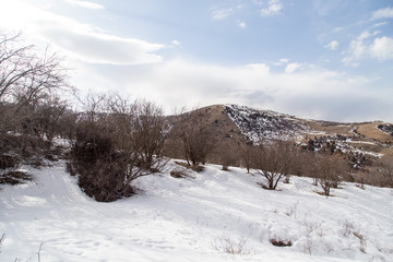 Nature in the Tien Shan mountains in winter. Kazakhstan