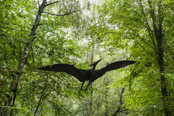 Fototapeta premium Plastikowy manekin latający mięsożerny dinozaur Pteranodon.