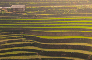 Landscape Mountain view of Sapa, Sapa District, Lao Cai Province, Northwest Vietnam