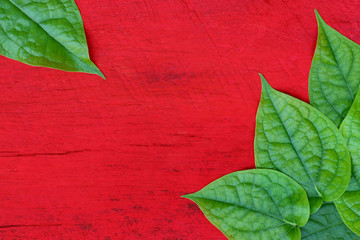 Green leaves on the wooden floor red.
