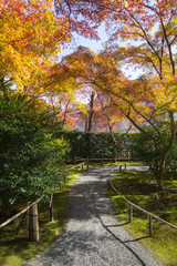 Autumn garden in Tenryu-ji temple