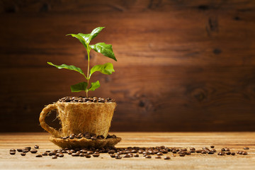 Coffee tree grows out of a cup of coffee beans. - obrazy, fototapety, plakaty