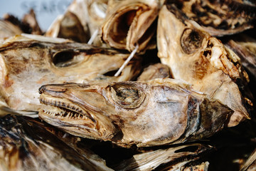 Stock fish head