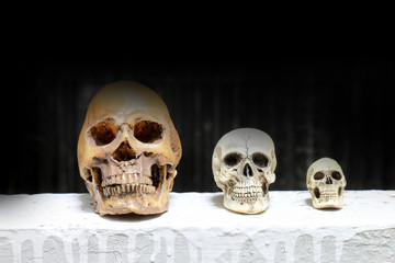 Still life photography with human skulls with black background
