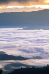 Moring fog in valley of north Thailand